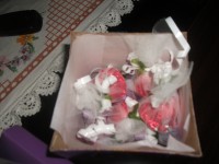 /album/galeria-de-fotos/imagem-163-jpg/